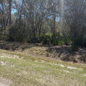 Lake Access FL Lot Only $195/Mo in Putnam County, FL