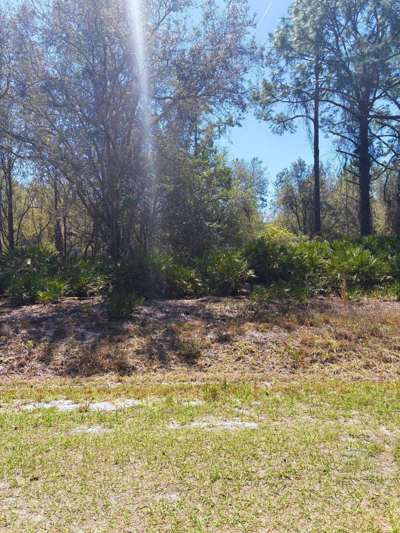 Lake Access FL Lot Only $195/Mo in Putnam County, FL