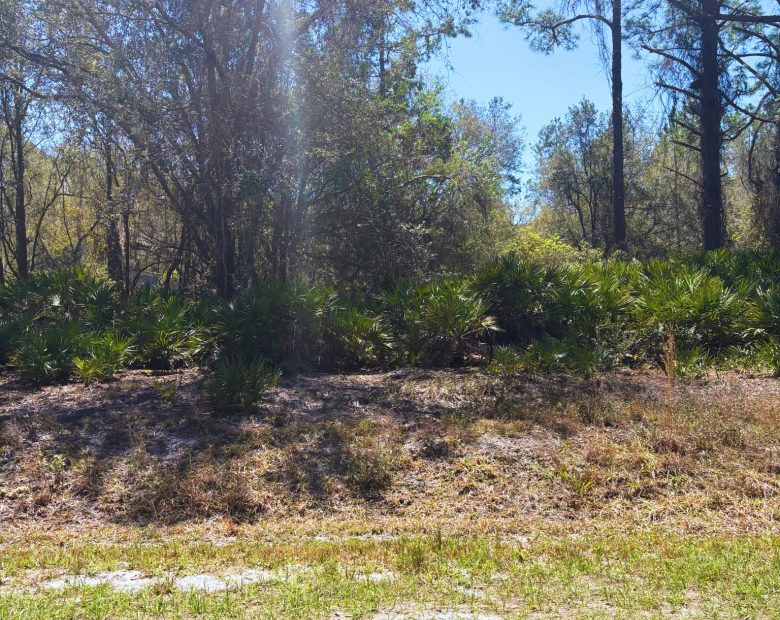 Lake Access FL Lot Only $195/Mo in Putnam County, FL