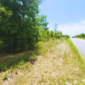 Build Near Florida's Lakes in Putnam County, FL