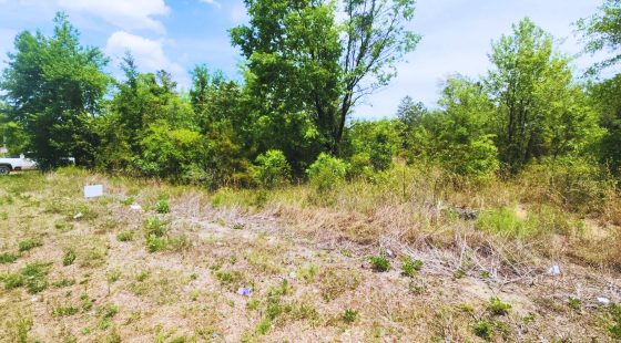 Build Near Florida's Lakes in Putnam County, FL