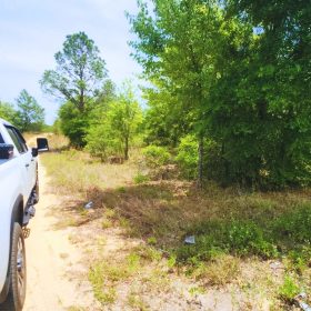 Build Near Florida's Lakes in Putnam County, FL