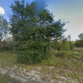 Small Down, Big FL Buildable Lot in Putnam County, FL