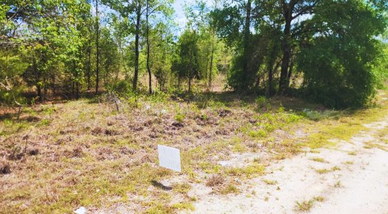 Small Down, Big FL Buildable Lot in Putnam County, FL