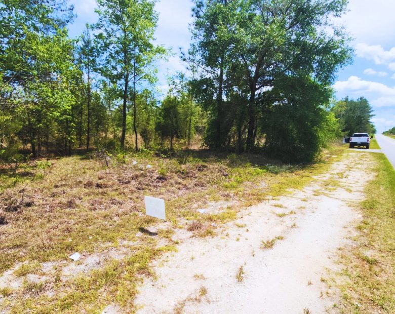 Small Down, Big FL Buildable Lot in Putnam County, FL