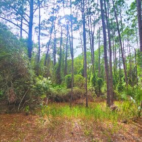 Home Sweet Home in Putnam County, FL