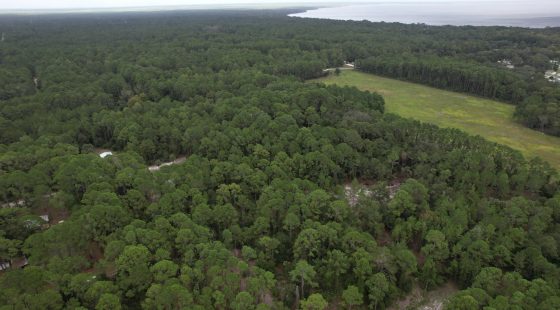 Home Sweet Home in Putnam County, FL