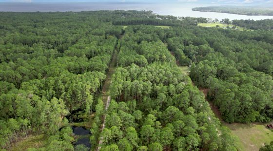 FL Land for Sale Near Lake George in Putnam County, FL