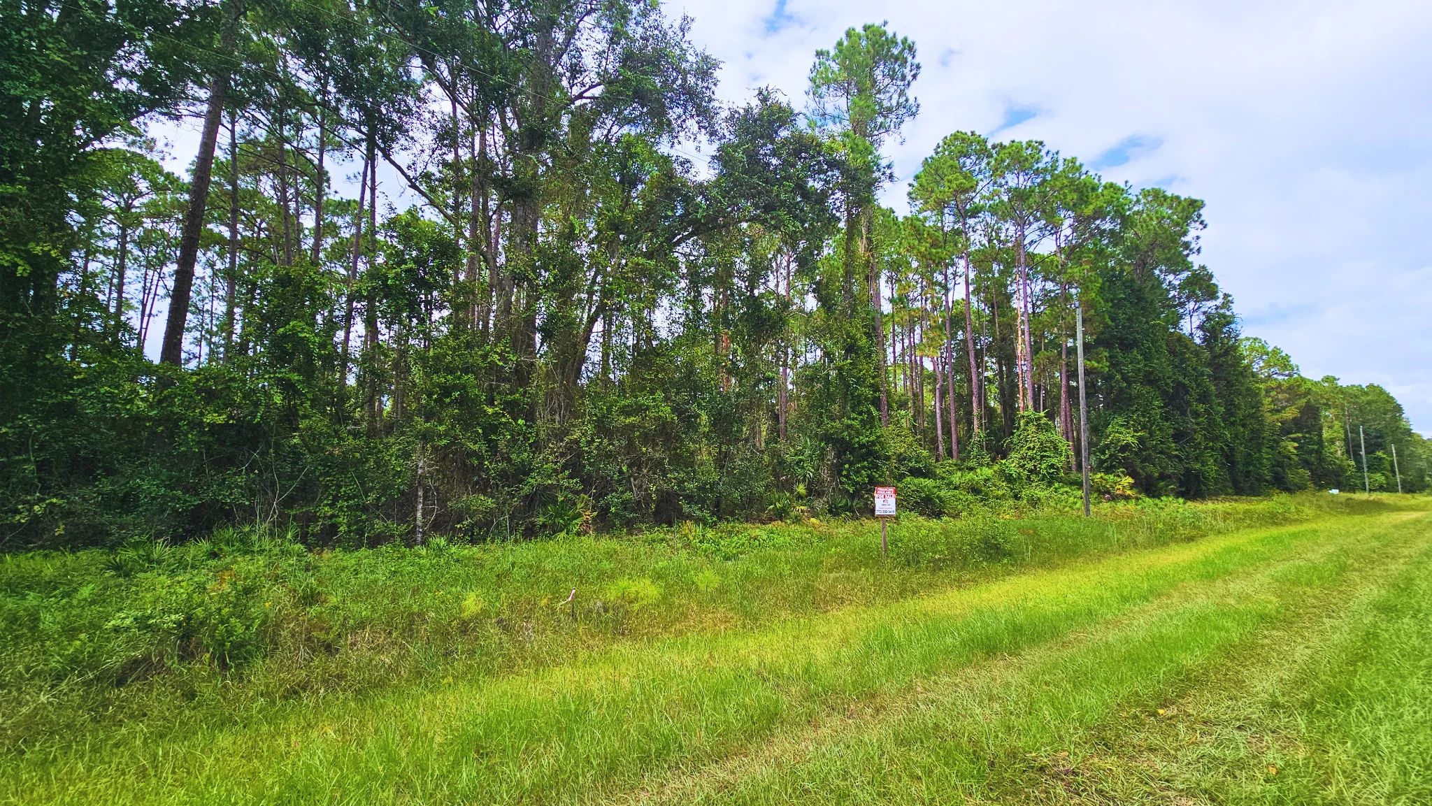 Build or Invest in Georgetown, FL! in Putnam County, FL