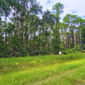 Build or Invest in Georgetown, FL! in Putnam County, FL