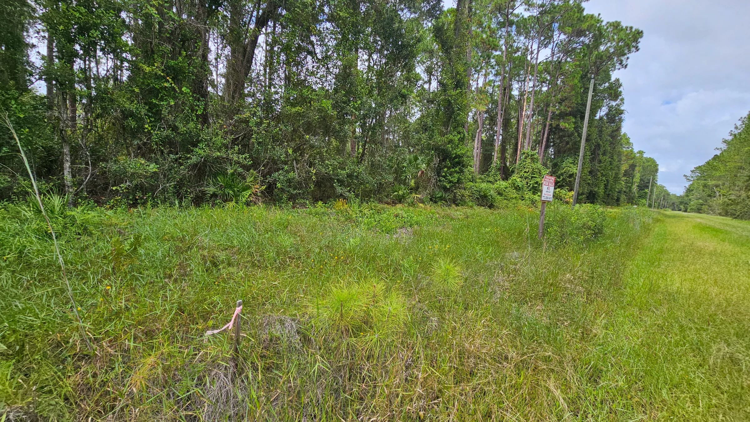 Build or Invest in Georgetown, FL! in Putnam County, FL