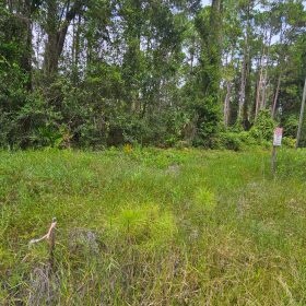 Build or Invest in Georgetown, FL! in Putnam County, FL