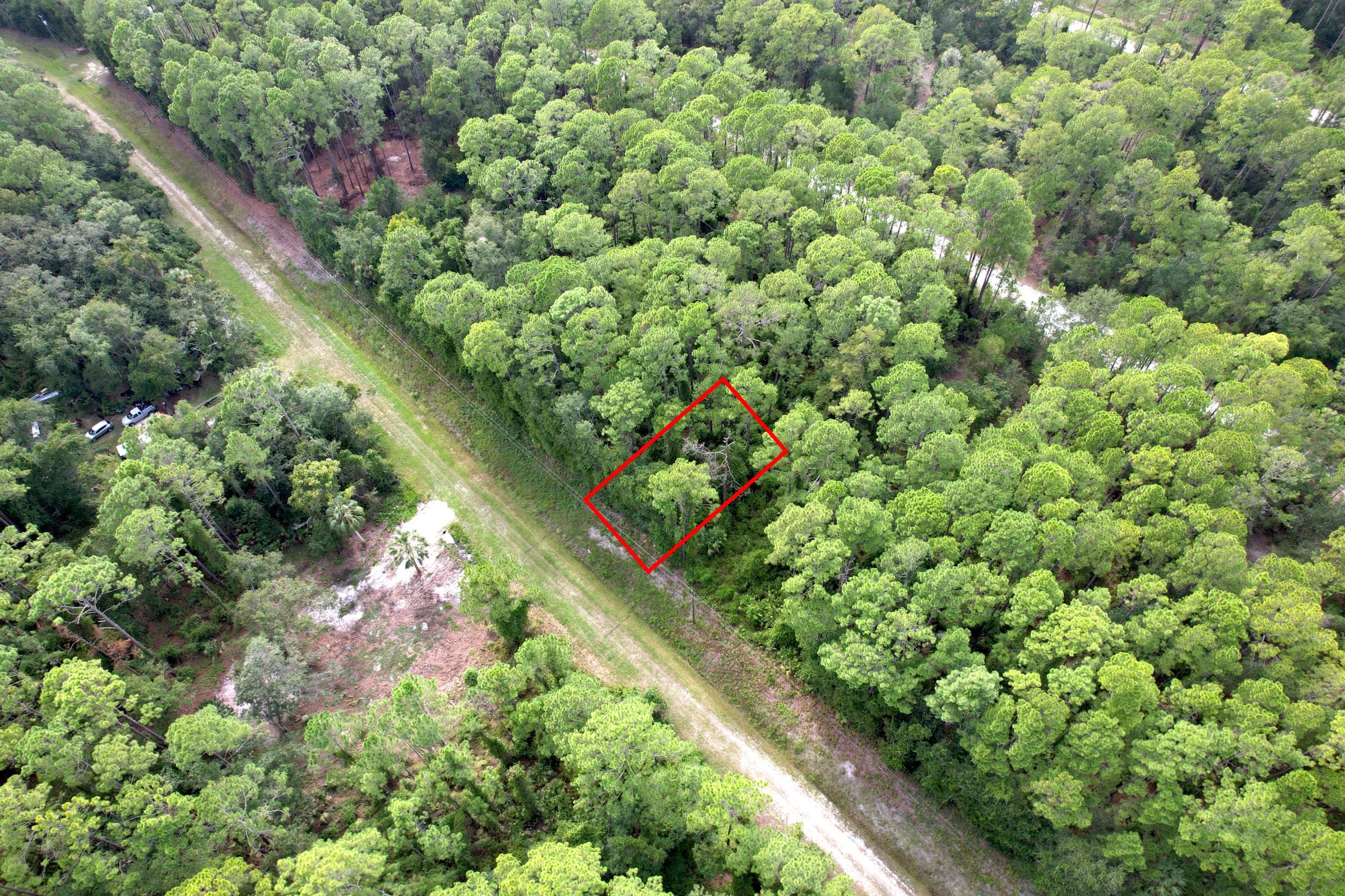 Build or Invest in Georgetown, FL! in Putnam County, FL