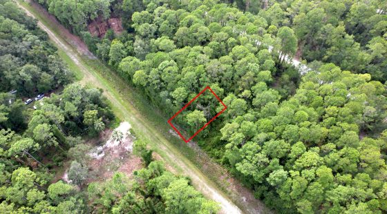 Build or Invest in Georgetown, FL! in Putnam County, FL
