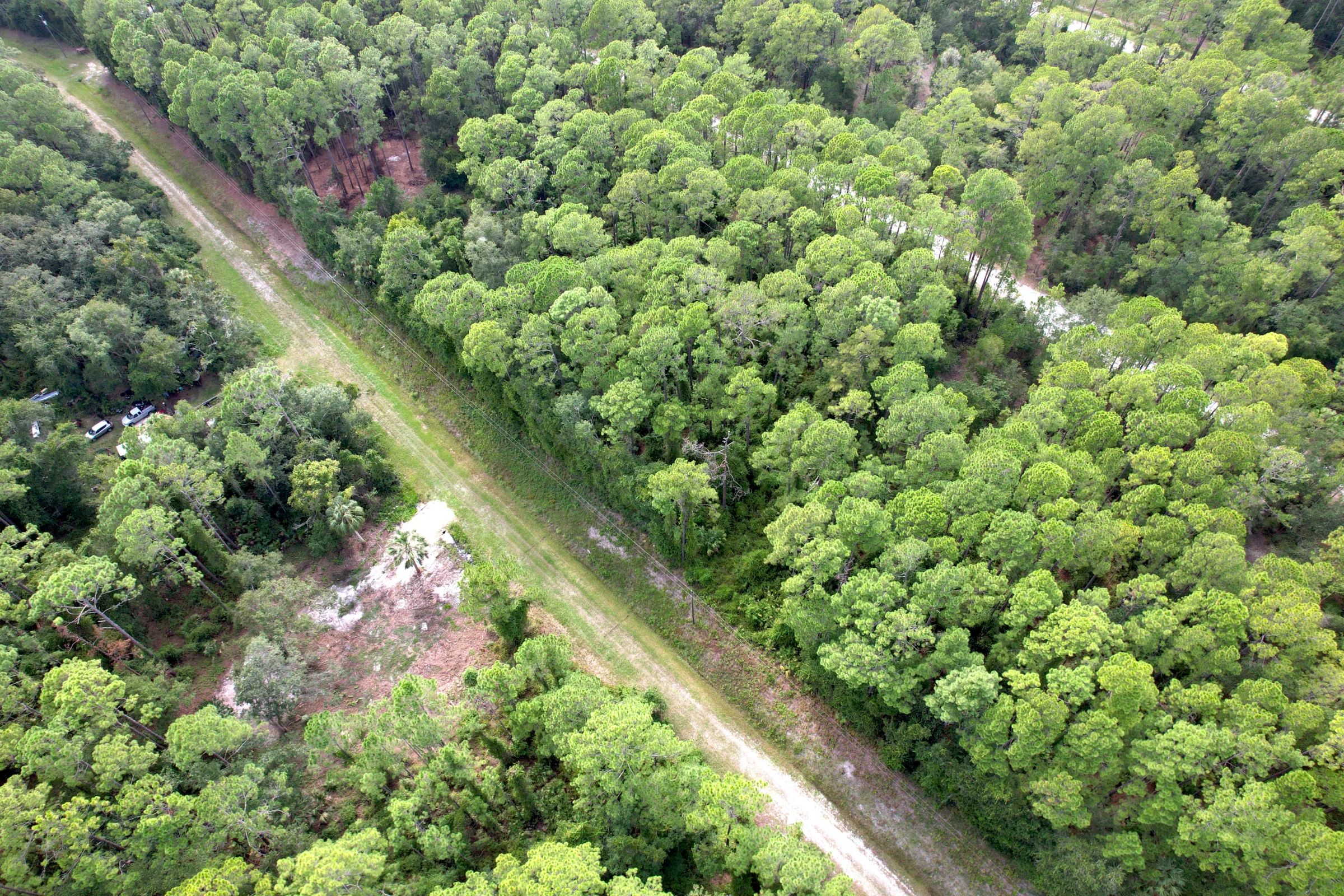 Build or Invest in Georgetown, FL! in Putnam County, FL