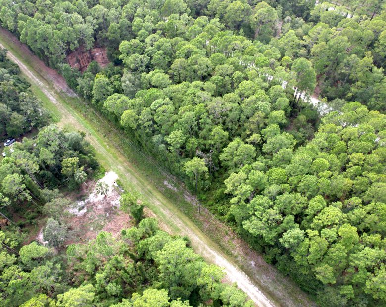 Build or Invest in Georgetown, FL! in Putnam County, FL