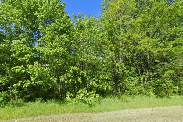 5 Peaceful Acres in Maury County | Hampshire, TN - Image 2