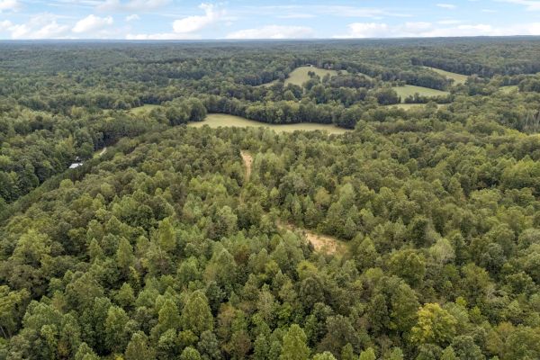 90 Unrestricted Hunting/Recreational Acres 1.25 Hours From Nashville - Image 1