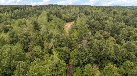 90 Unrestricted Hunting/Recreational Acres 1.25 Hours From Nashville in Maury County, TN