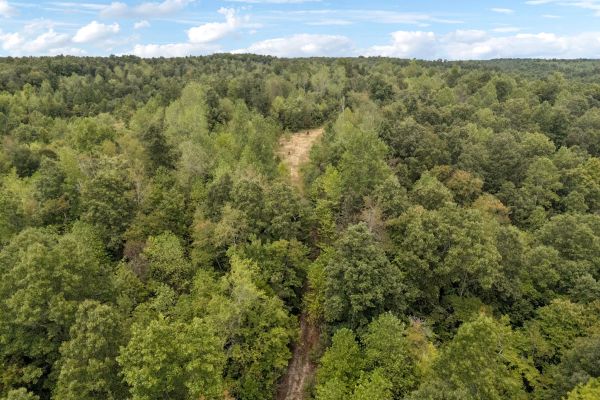 90 Unrestricted Hunting/Recreational Acres 1.25 Hours From Nashville - Image 2