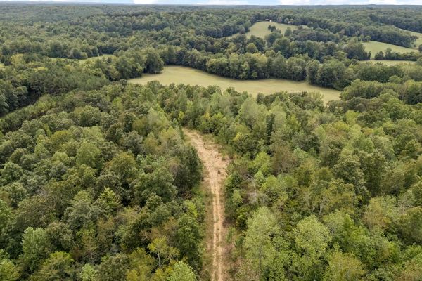 90 Unrestricted Hunting/Recreational Acres 1.25 Hours From Nashville - Image 3