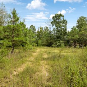 90 Unrestricted Hunting/Recreational Acres 1.25 Hours From Nashville in Maury County, TN