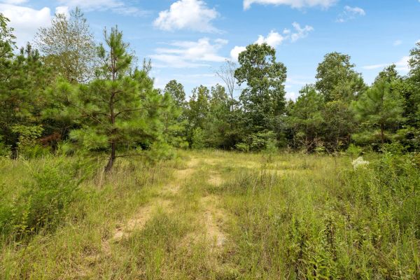 90 Unrestricted Hunting/Recreational Acres 1.25 Hours From Nashville - Image 4