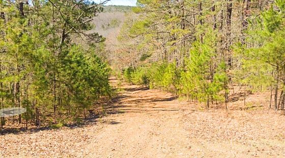 0.24-Acre Lot in a Prime Location in Fairfield Bay, AR in Cleburne County, AR
