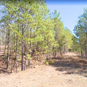 0.24-Acre Lot in a Prime Location in Fairfield Bay, AR in Cleburne County, AR