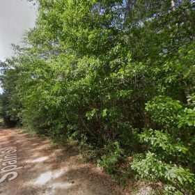 0.28 Acre Wooded Lot Near Lake! in Pearl River County, MS