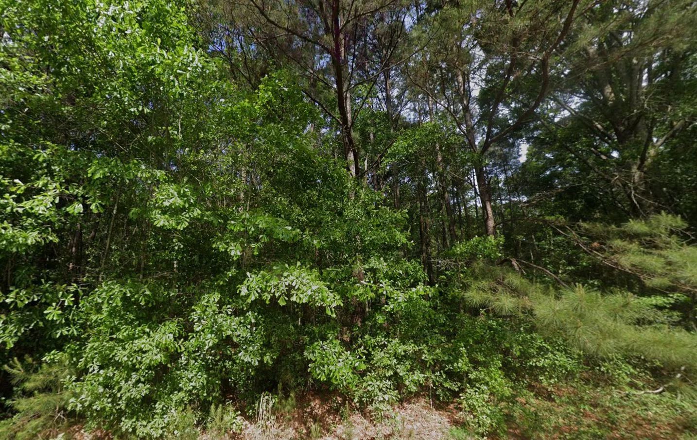 0.28 Acre Wooded Lot Near Lake! in Pearl River County, MS