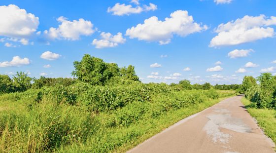 0.10 Acre Unrestricted Lot! in Tallahatchie County, MS