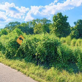 0.10 Acre Unrestricted Lot! in Tallahatchie County, MS