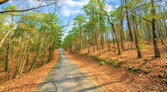0.33-Acre Land for Sale in Ozarks, Arkansas in Van Buren County, AR