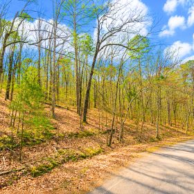 0.33-Acre Land for Sale in Ozarks, Arkansas in Van Buren County, AR