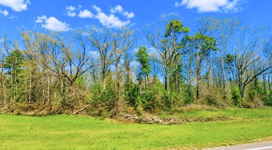 0.31 Acres with Highway Frontage in Perry County, MS