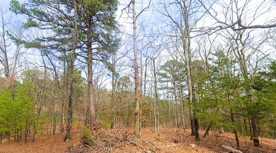 0.23 Acres Mountain and Lake View for Sale Fairfield Bay, AR in Cleburne County, AR