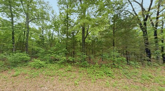 0.47 Acre Near Crown Lake – Horseshoe Bend, AR! in Izard County, AR