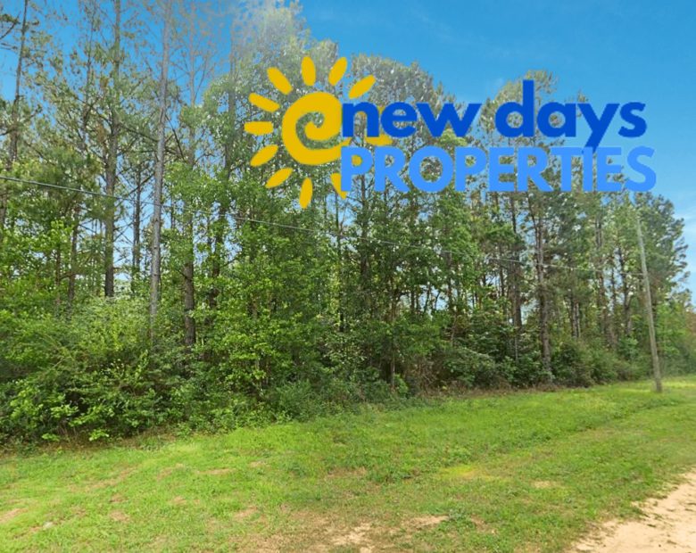 0.26-Acre Lot Near Happiness Lake! in Pearl River County, MS
