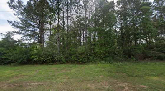 0.26-Acre Lot Near Happiness Lake! in Pearl River County, MS