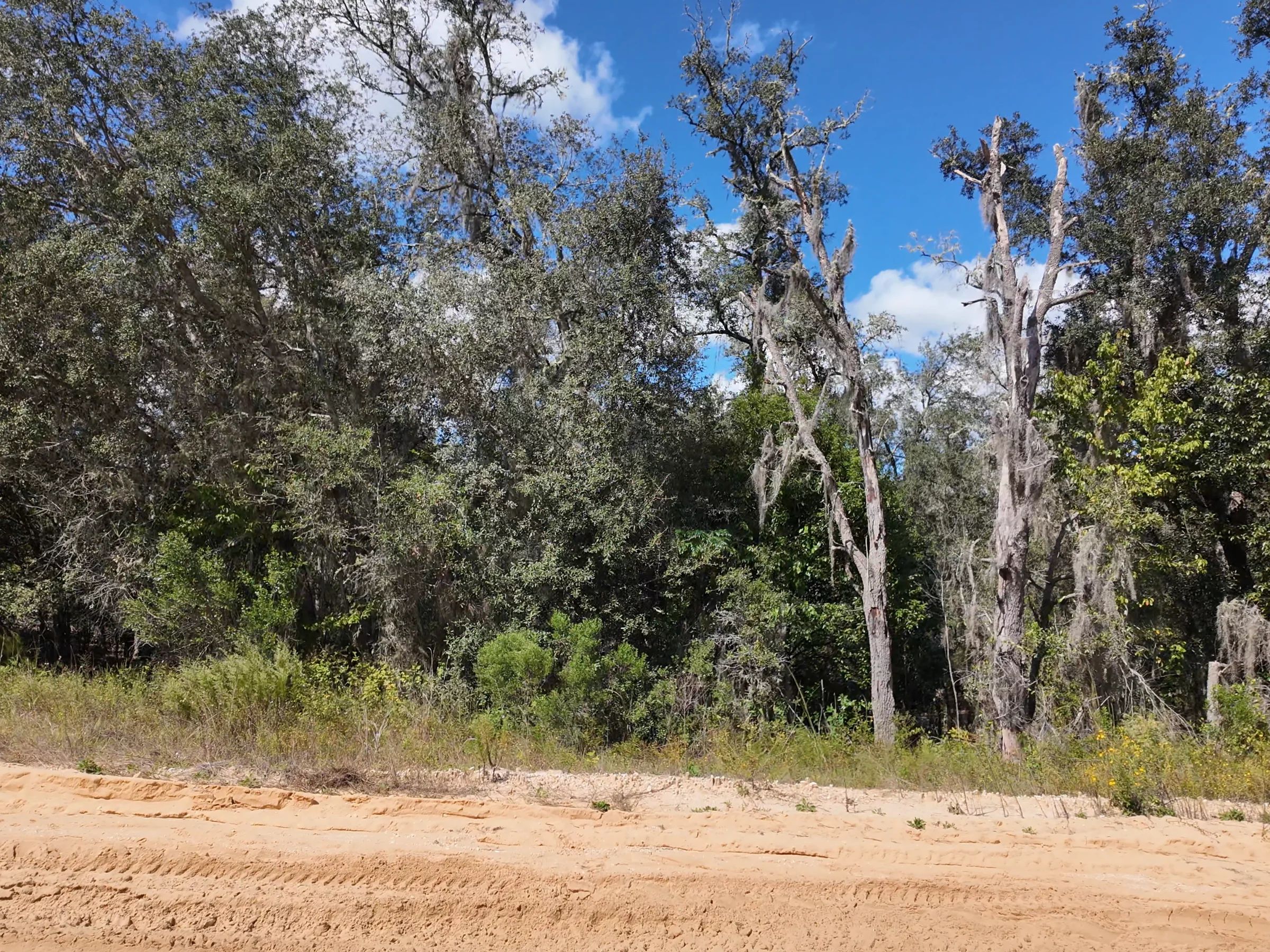Your Florida Land for Less Than a Car Payment? 0.29 Acres for $249/Mo in Putnam County, FL