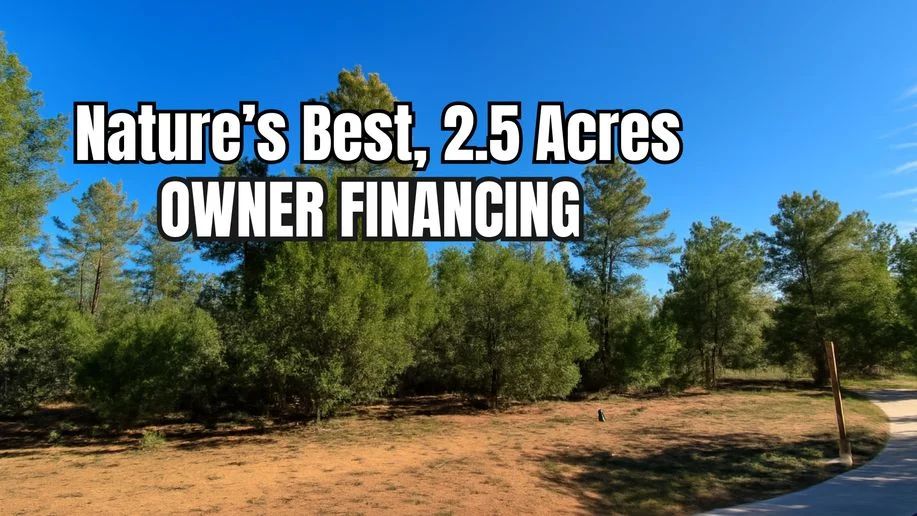 Spacious Navajo County Land Near Holbrook – Ideal for RV, Cabin, or Retreat - Image 2