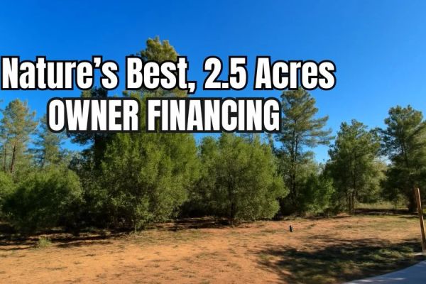 Spacious Navajo County Land Near Holbrook – Ideal for RV, Cabin, or Retreat - Image 2