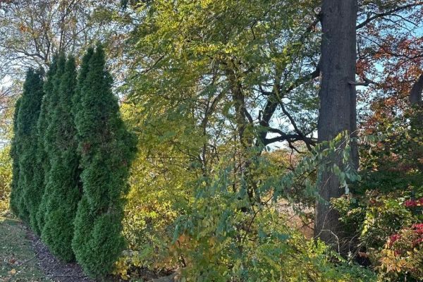 0.48-Acre Recreational Riverside Lot Milford, CT - Image 1