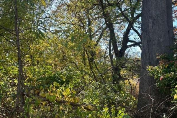 0.48-Acre Recreational Riverside Lot Milford, CT - Image 5